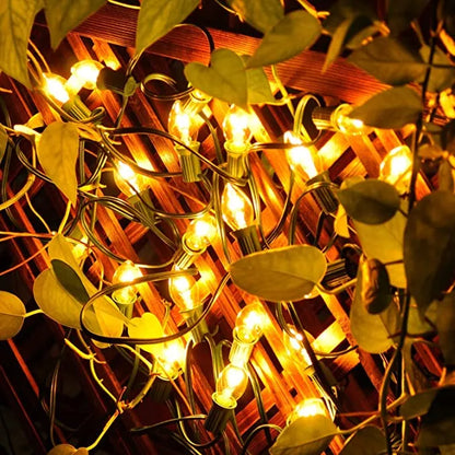 2×25 LED C7 Multicolor Led String Lights