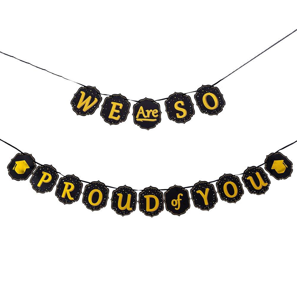 Graduation Party Hanging Swirls Strings Banner