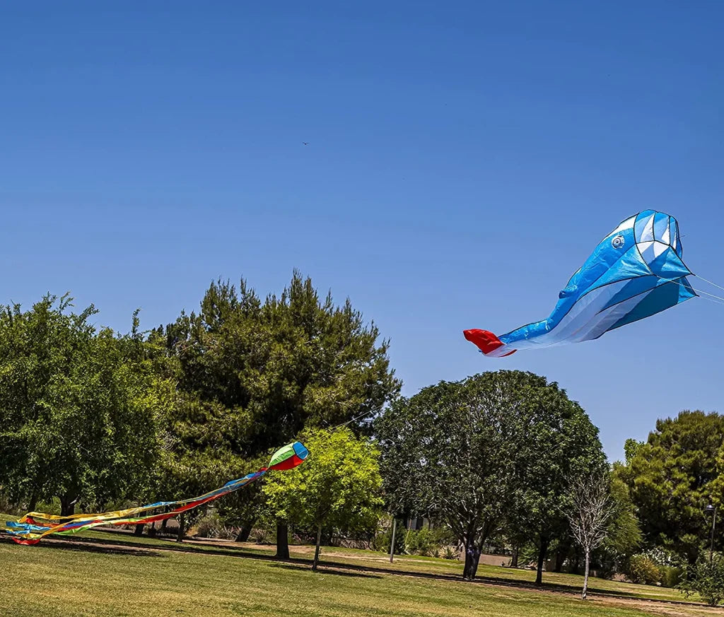 Large 3D Kite