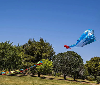 Large 3D Kite