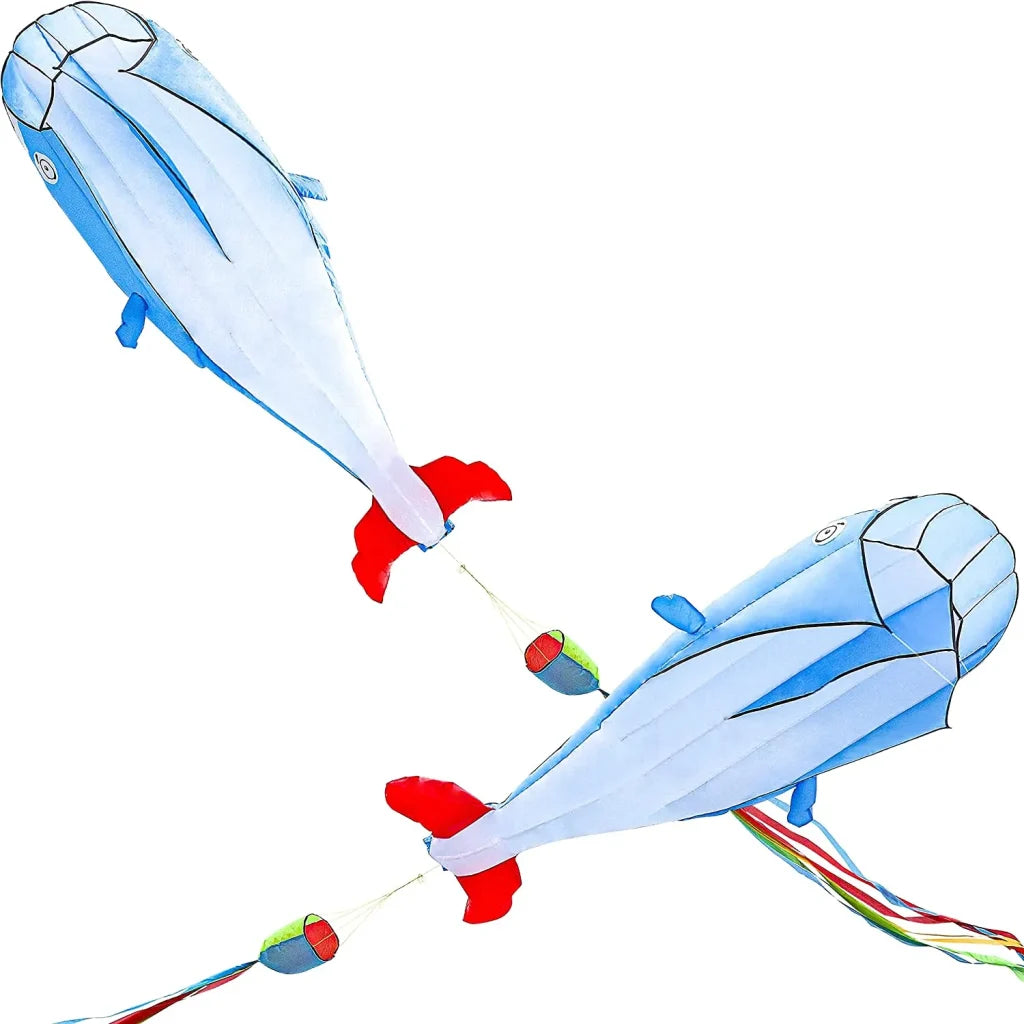 Large 3D Kite