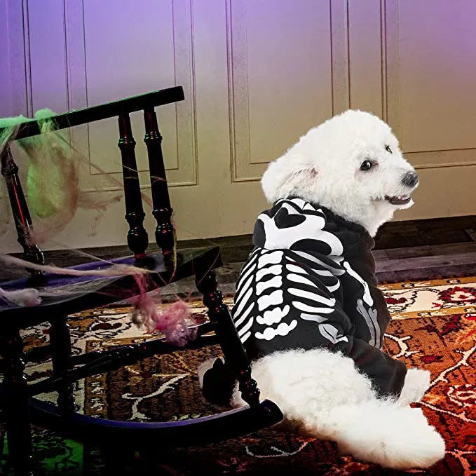 Skeleton Halloween Costume for Dogs