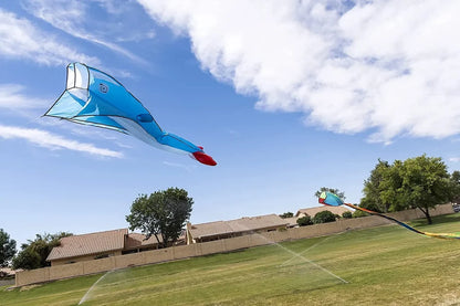 Large 3D Kite