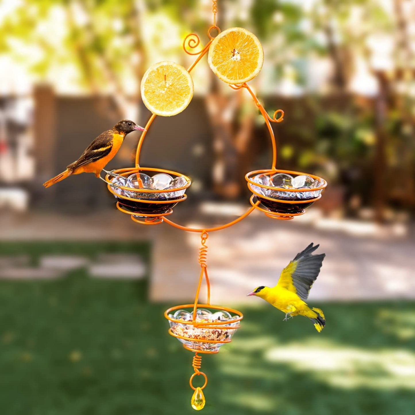 Oriole Hanging Metal Bird Feeder